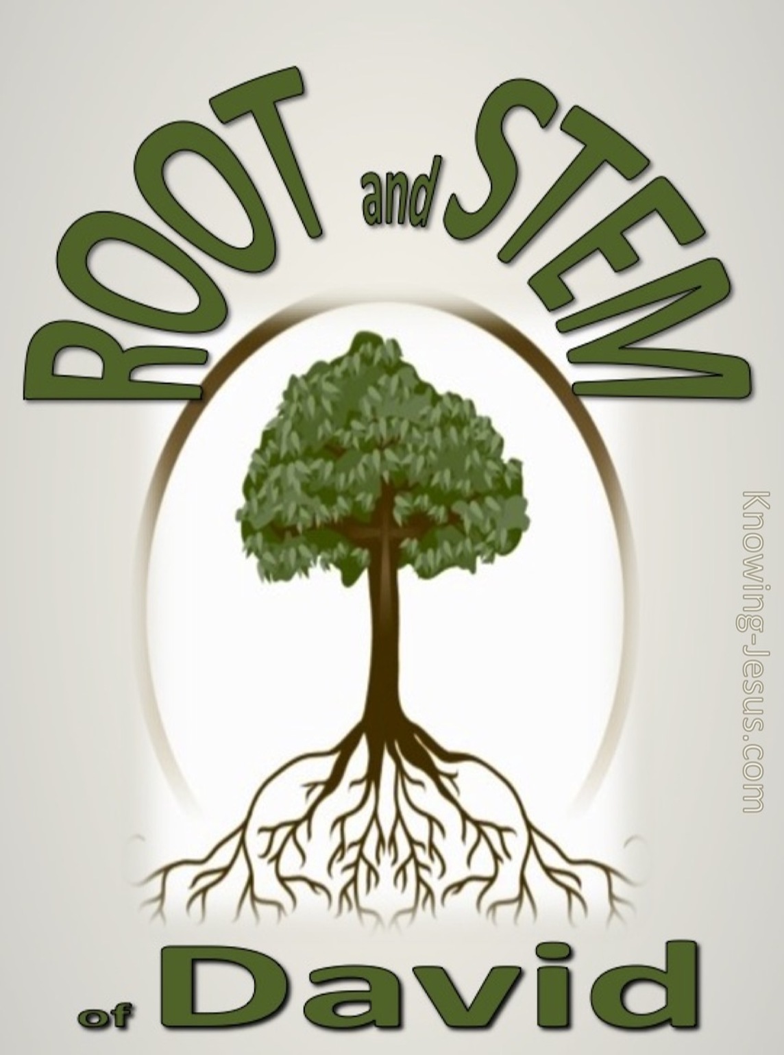 Root And Stem Of David Perfect MAN Eternal SON 14